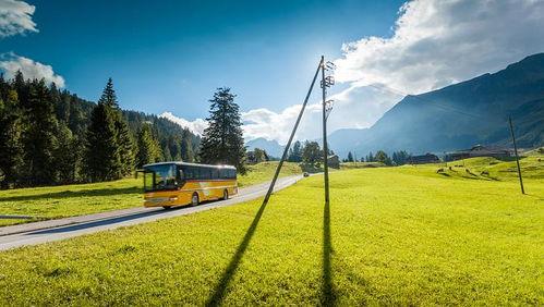 青青草国产线观